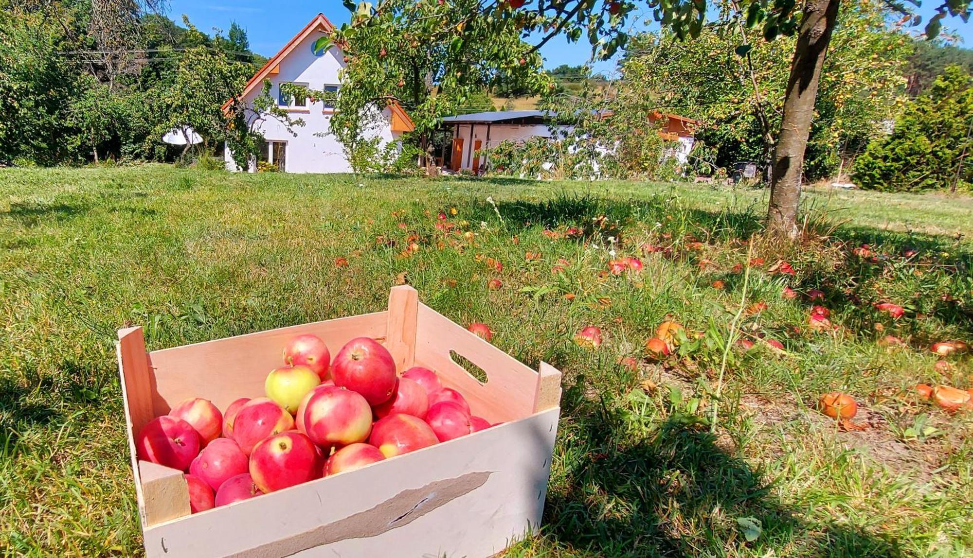 Dobre Miejsce Holiday home Miedzyzdroje